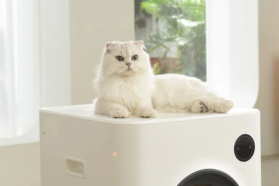 best litter boxes for multiple cats